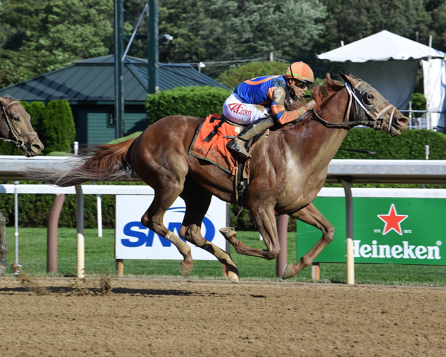 Saratoga The Curlin Stakes 2021/7/30